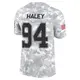 Limited Arctic Camo Men's Charles Haley Dallas Cowboys 2024 Salute to Service Jersey