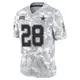 Limited Arctic Camo Men's Darren Woodson Dallas Cowboys 2024 Salute to Service Jersey