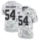 Limited Arctic Camo Men's Sam Williams Dallas Cowboys 2024 Salute to Service Jersey