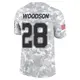 Limited Arctic Camo Youth Darren Woodson Dallas Cowboys 2024 Salute to Service Jersey